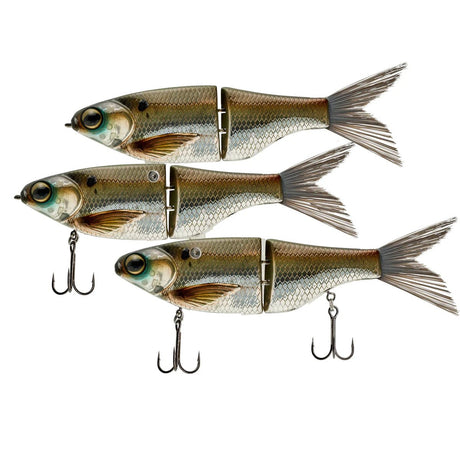 KGB K - RIG CS3 - Tackle Shack TX