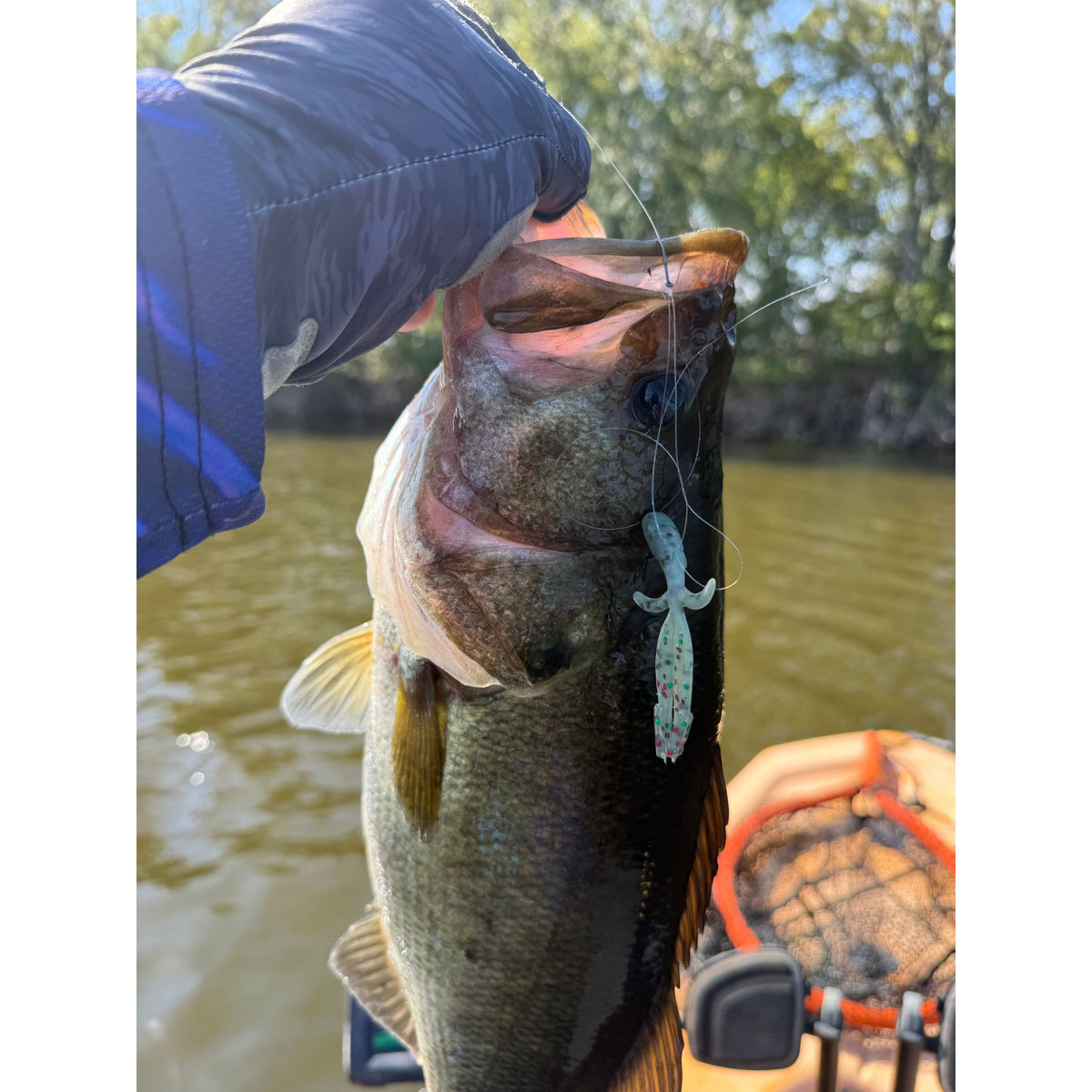 The Fein BFS Lure soft plastic bass lure in various colors