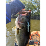 The Fein BFS Lure soft plastic bass lure in various colors