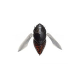 GRAND SIGLETT - Tackle Shack TX