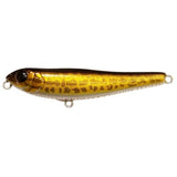 DOG - X Jr. COAYU (BFS) - Tackle Shack TX