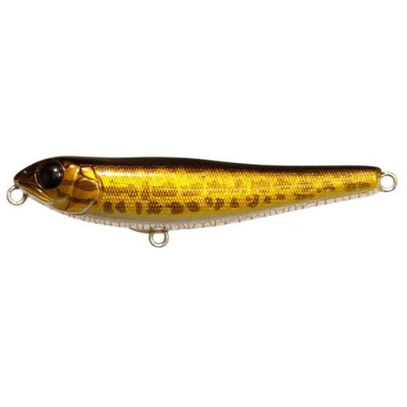 DOG - X Jr. COAYU (BFS) - Tackle Shack TX
