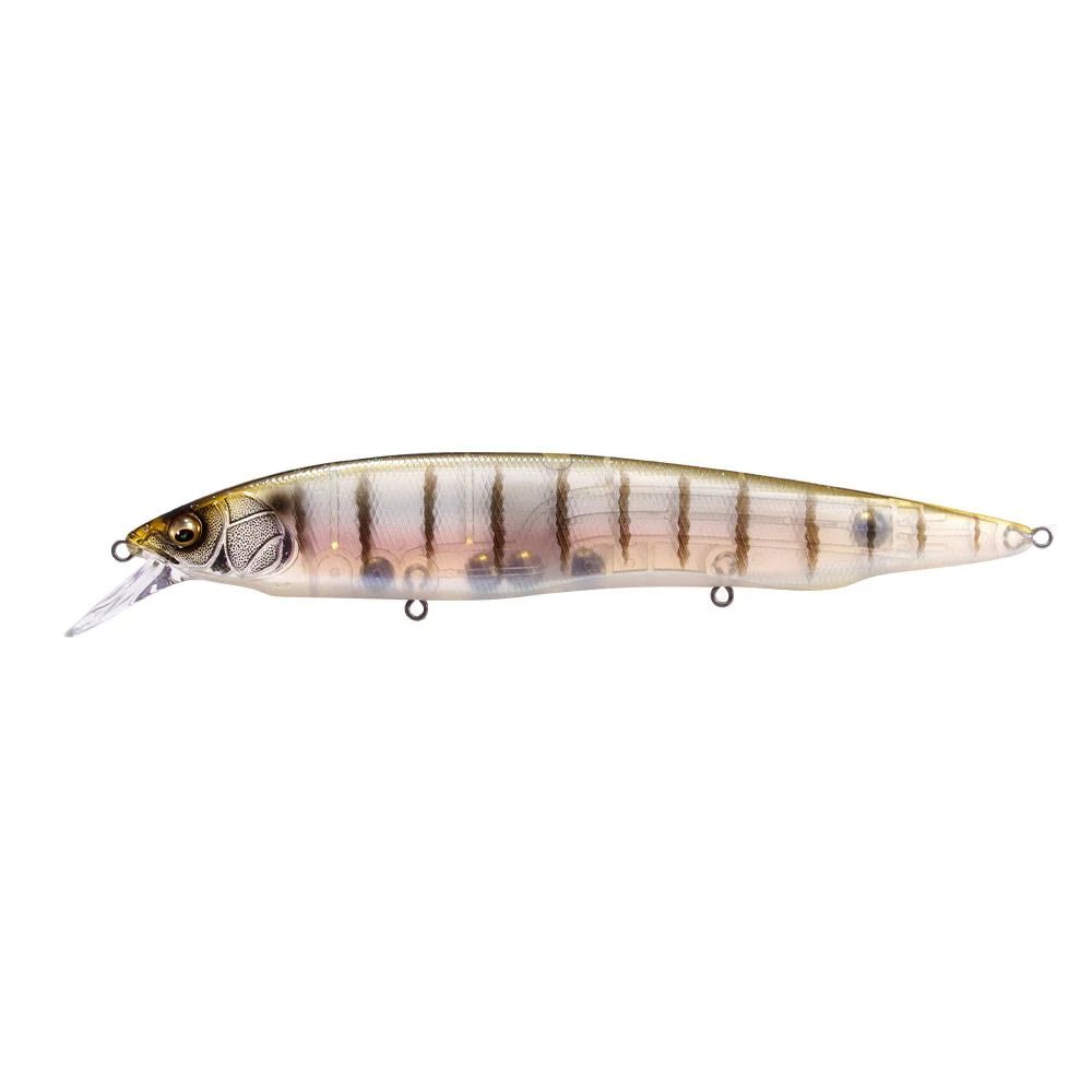 KANATA - Tackle Shack TX