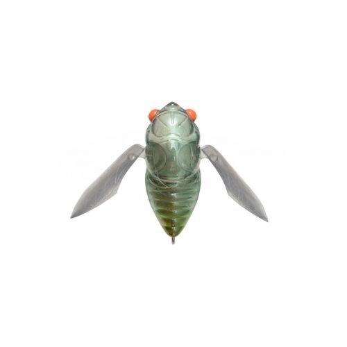 GRAND SIGLETT - Tackle Shack TX