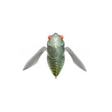 GRAND SIGLETT - Tackle Shack TX
