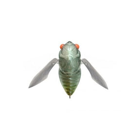 GRAND SIGLETT - Tackle Shack TX