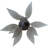 HideUp COIKE FISH Gill L