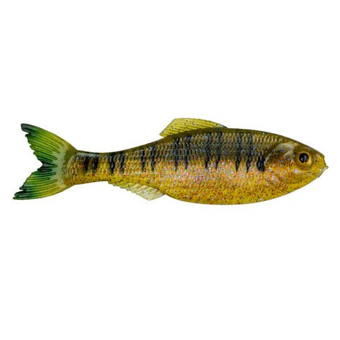 Plump Panorama 5.0 - Tackle Shack TX