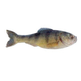Panorama - Tackle Shack TX
