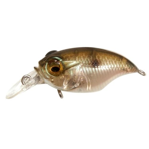 GRIFFON SR - X (BFS) - Tackle Shack TX