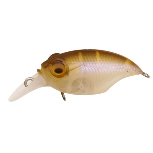 GRIFFON SR - X (BFS) - Tackle Shack TX