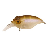 GRIFFON SR - X (BFS) - Tackle Shack TX