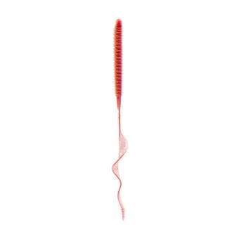 Boosa Ribbon Tail 9.6 - Tackle Shack TX