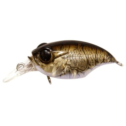 GRIFFON SR - X (BFS) - Tackle Shack TX