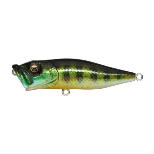 POPX - Tackle Shack TX