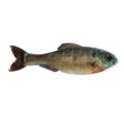 Plump Panorama 5.0 - Tackle Shack TX