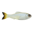 Plump Panorama 5.0 - Tackle Shack TX