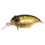 GRIFFON SR - X (BFS) - Tackle Shack TX