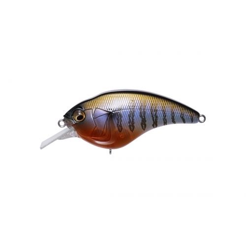 SONICSIDE - Tackle Shack TX