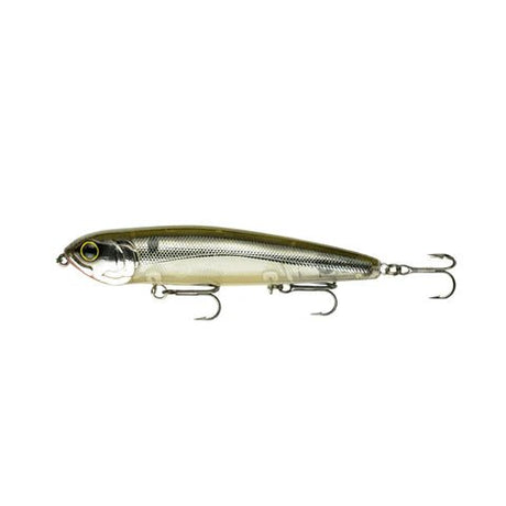 Dogma 100 - Tackle Shack TX
