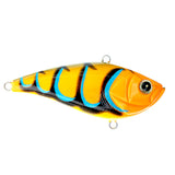 Shaker Z Knock Knock