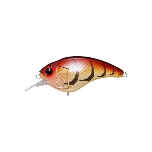 SONICSIDE - Tackle Shack TX