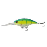 The Unit 24 - Tackle Shack TX