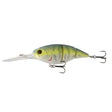 The Unit 24 - Tackle Shack TX