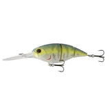 The Unit 24 - Tackle Shack TX