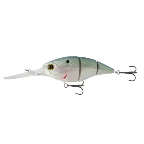 The Unit 24 - Tackle Shack TX
