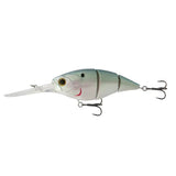 The Unit 24 - Tackle Shack TX