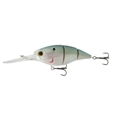 The Unit 24 - Tackle Shack TX