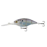 The Unit 24 - Tackle Shack TX