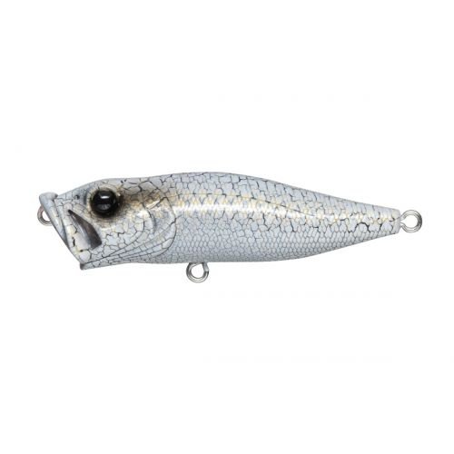 POPX - Tackle Shack TX