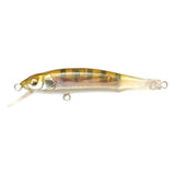 X - 70 (BFS) - Tackle Shack TX
