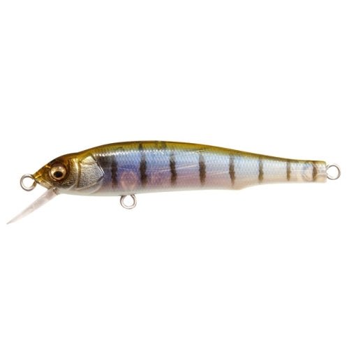 X - 70 (BFS) - Tackle Shack TX