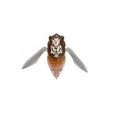 GRAND SIGLETT - Tackle Shack TX