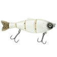 Donkey Bite 5.5 - Tackle Shack TX
