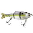 Donkey Bite 5.5 - Tackle Shack TX