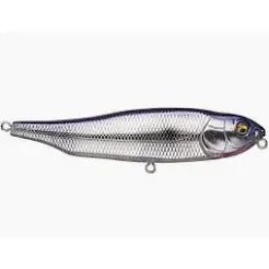 GIANT DOG - X - Tackle Shack TX