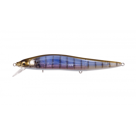 VISION ONETEN MAX LBO - Tackle Shack TX