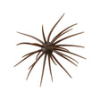HideUp COIKE 13MM - Tackle Shack TX
