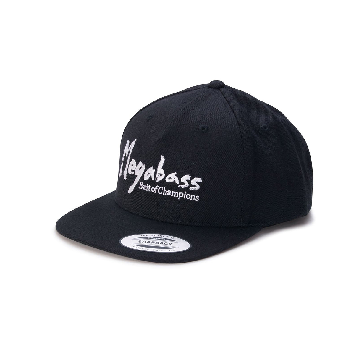BRUSH SNAPBACK CAP