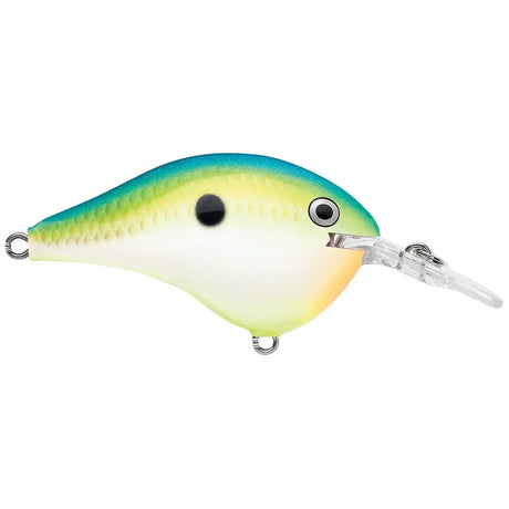 Rapala DT Dives - To Series Crankbait - Tackle Shack TX