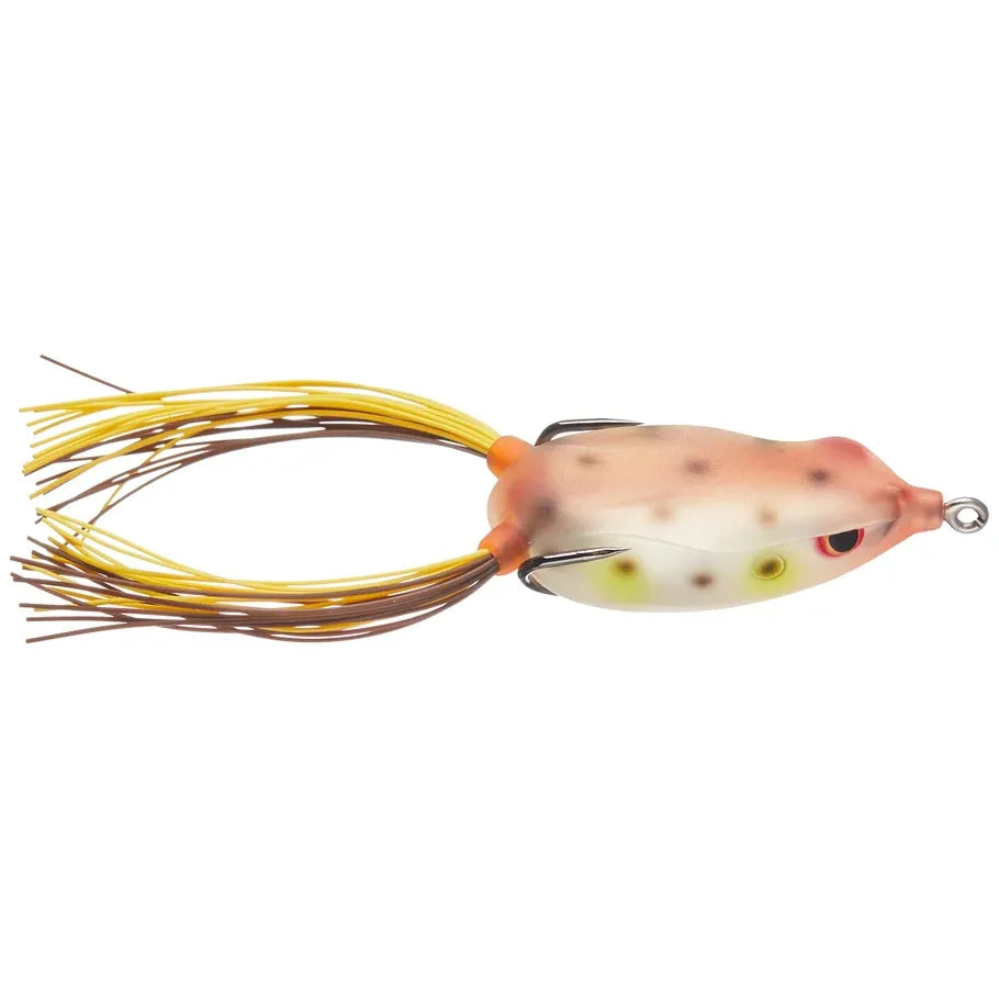 BRONZEYE FROG 60