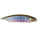 KARASHI 80 - Tackle Shack TX