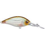EVERGREEN CR CRANKBAIT, 16 FEET - Tackle Shack TX