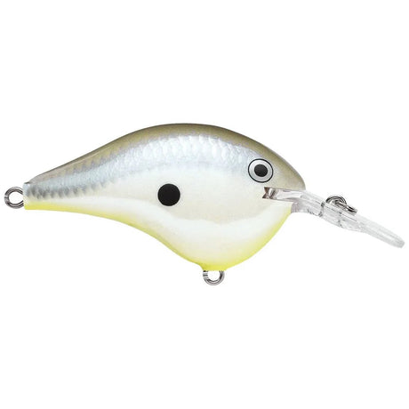 Rapala DT Dives - To Series Crankbait - Tackle Shack TX
