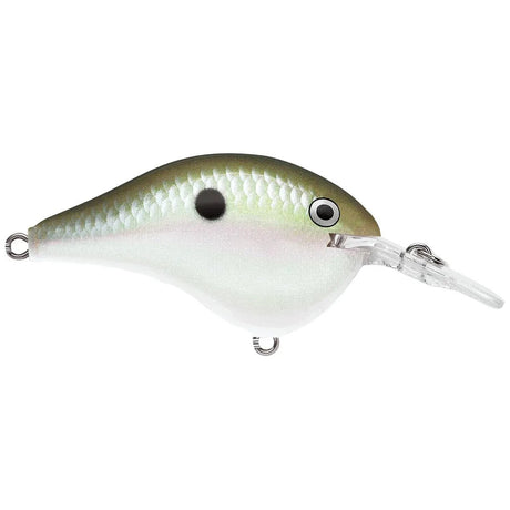 Rapala DT Dives - To Series Crankbait - Tackle Shack TX