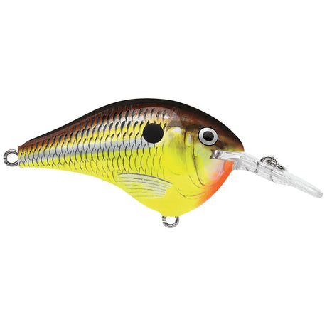 Rapala DT Dives - To Series Crankbait - Tackle Shack TX